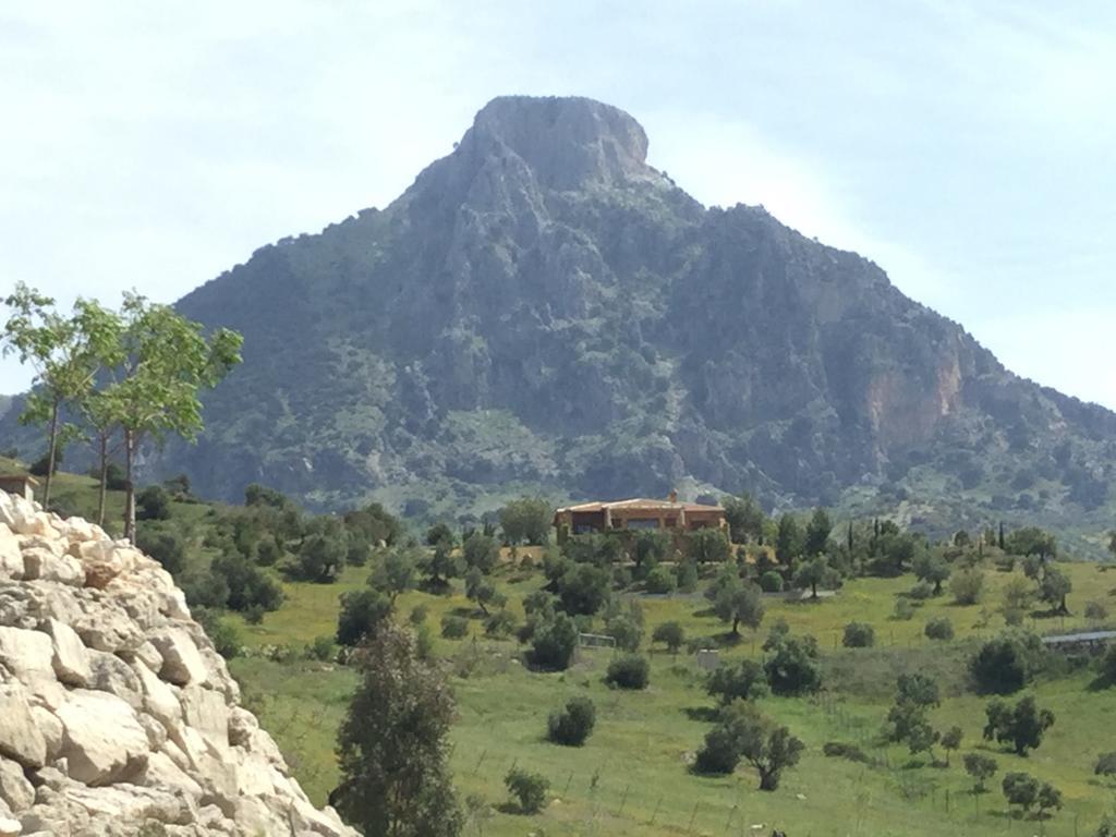 Los Cazadores Bed & Breakfast เอลกัสตอร์ ภายนอก รูปภาพ